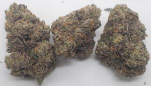 RAINBOW RUNTZ (INDICA DOM)