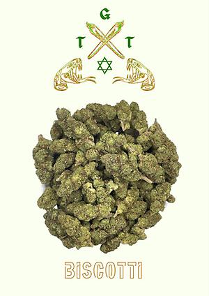 EXCLUSIVE TROPICAL RUNTZ *FREE SHIPPING*