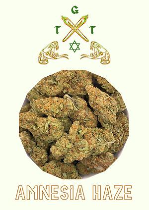 AMNESIA HAZE *FREE SHIPPING*