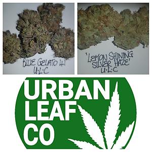 **2 STRAIN VARIETY PACK (RM 1ST CLASS DELIVERY)**