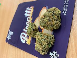 WIZARD TREES - BISCOTTI