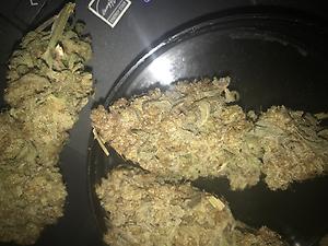 Forbidden fruit