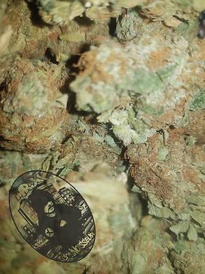 ***STRAWBERRY KUSH*** (FREE 1st CLASS RM)
