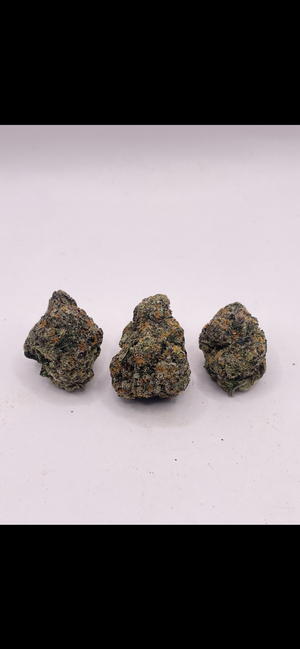 BLACKWATER - EXOTICS