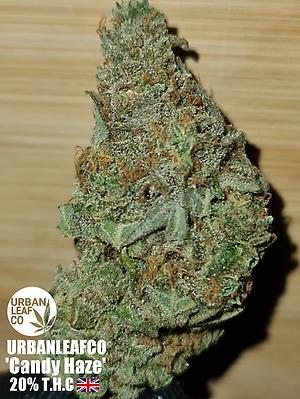 **CANDY HAZE - (FREE RM 1ST CLASS DISPATCH)**