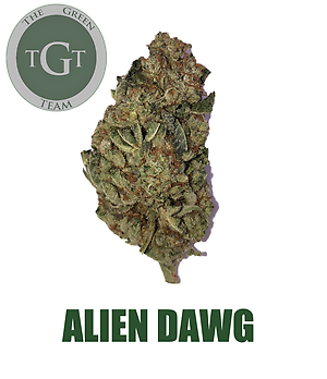 ALIEN DAWG