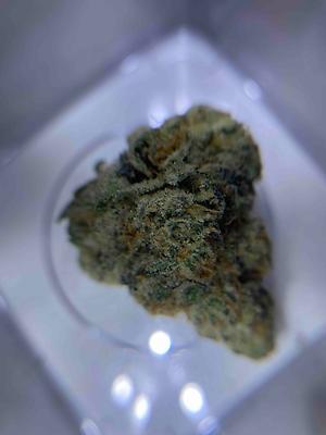 $100 Gelato Bundle (2nd May - 9th May)