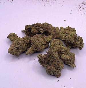 Jelly Donut - EXOTICS