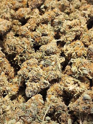 Cookie Dawg - Perfectly Cured & Flushed - Superb High