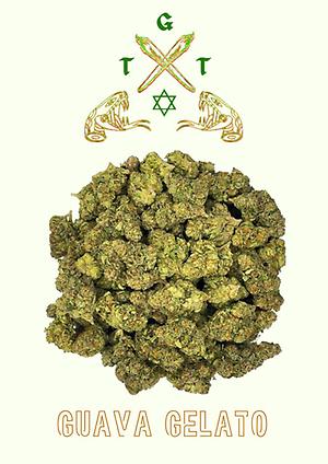 EXCLUSIVE GUAVA GELATO *FREE SHIPPING*