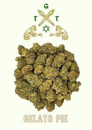 EXCLUISVE GELATO PIE *FREE SHIPPING*