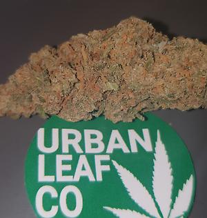 **GIRL SCOUT COOKIES - (FREE RM 1ST CLASS DELIVERY)**