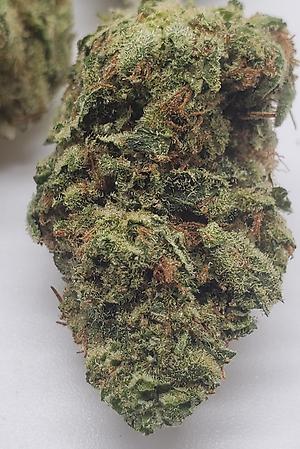 OG CHEM (SATIVA DOM)