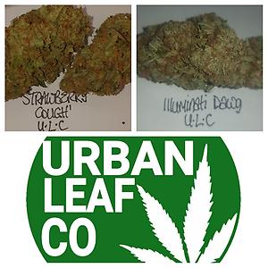 **2 STRAIN VARIETY PACK - FREE RM 1ST CLASS - ID/SC**