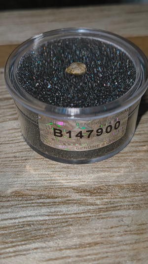 🔒🌱Vault-archive blind cuts🌱🔒 *limited seeds*
