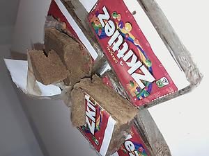 ZKITTLEZ 3X by BISCOTTI BOYZ