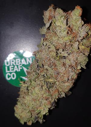 **GREASE MONKEY - (FREE RM 1ST CLASS DISPATCH)**