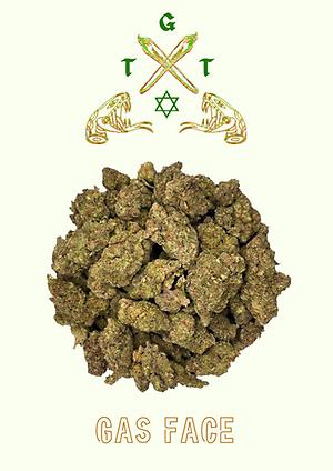 EXCLUSIVE GAS FACE *FREE SHIPPING*