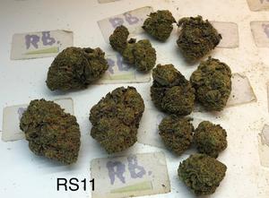 UK Exotics