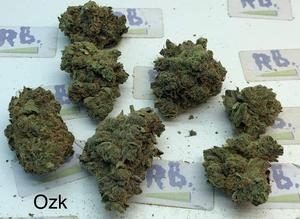 OZ Kush x Coffin Candy