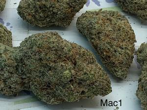 MAC1 Mid Shelf Cali