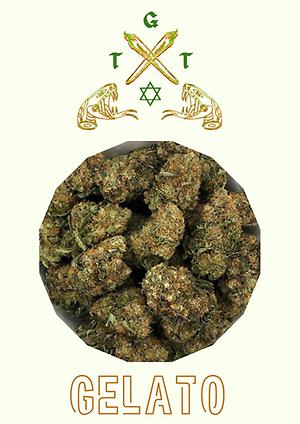 GELATO *FREE SHIPPING*