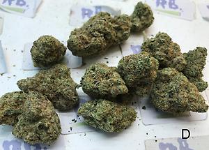 TROPIC DIESEL MID SHELF CALI