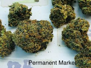 UK Exotics