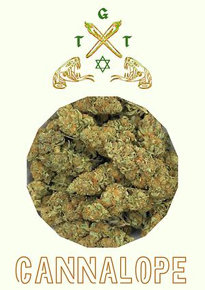 CANNALOPE *FREE SHIPPING*