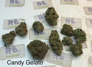 UK Exotics