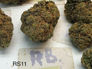 UK Exotics