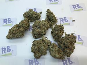 STAR DAWG IMPORT GRADE A+