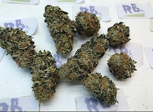 ICE CREAM CAKE DUTCH A+