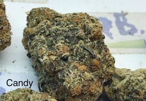Gas Candy Mid Shelf Cali