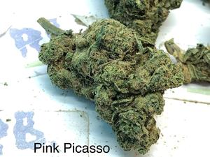 Pink Picasso UK
