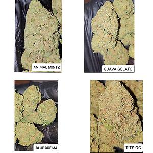 MIX 4 STRAINS