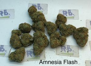 Amnesia Flash Top Shelf UK