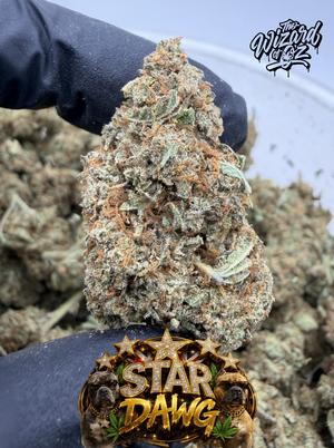 Star Dawg ⛽ 🌟