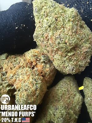 MENDO PURPS - USA - FREE RM 1ST CLASS SHIPPING