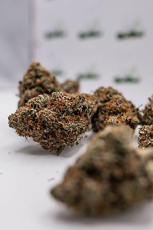 Stardawg UK PurePower