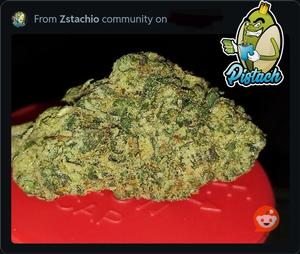 MEGAN FOX - SILVER FOX X RUNTZ FREE POSTAGE