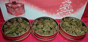 'Papaya' *Greenhouse grown* Budget Bud