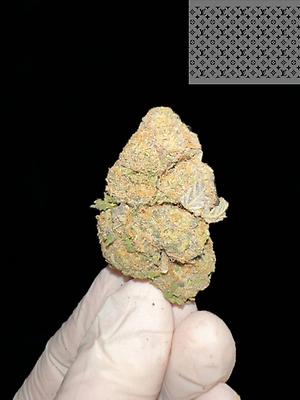 PERMANENT MARKER DOJA GENETICS