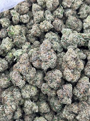 BLACK RUNTS TOPSHELF FLOWER