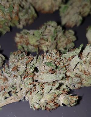 **BRUCE BANNER #3 / PRICE REDUCTION / AIRY BUDS**