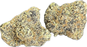 🇺🇸FREE SAMPLE TOPSHELF Cherry Mochi
