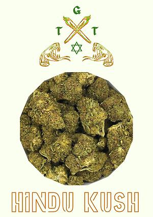 HINDU KUSH *FREE SHIPPING*