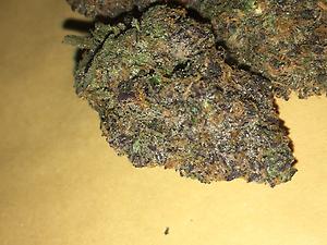 RS11 - Cali Top Shelf