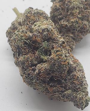 LONDON POUNDCAKE (INDICA DOM)