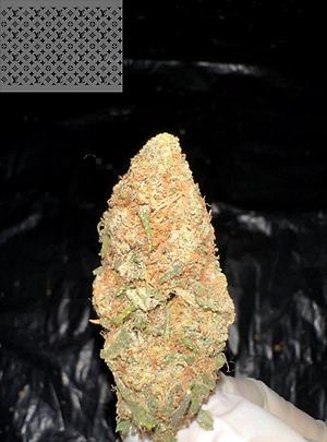 ZUSHI (ZKITTLEZ X KUSHMINTZ 11)